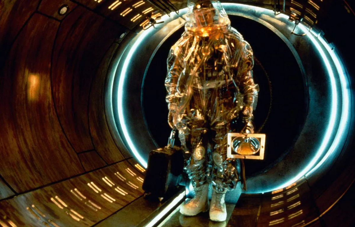 12 singes image.webp